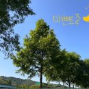 김정순의엄마손반찬 | [북삼] 반찬가게 #이벤트