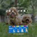 군포동물약국 이미지