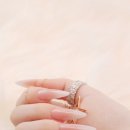 Ji-Nail 이미지