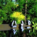 무릉도원면-18 이미지