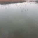 동방농장 Daum카페