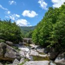 사선대야영장 이미지