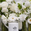 펫갤러리 | 실내방향제 모노아워 에어 블룸 펫프렌들리 탈취제 사용 후기