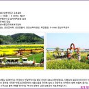 [진달래의 향연]밀양 종남산 - 유채꽃 축제와 웅어회 이미지