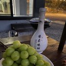 토리펜션 이미지