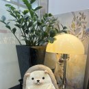 고슴도치한의원 이미지