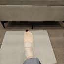 안간천 | 취발러의 예당 이발레샵 천슈즈 구매 후기