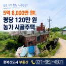 H0043 네이버블로그