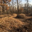 초안산길 이미지