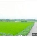 칠괴 우림필유 이미지