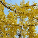 가정역(섬진강출렁다리) 이미지