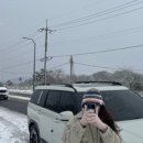 코티지102 이미지