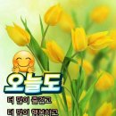 실패와 성공 이미지