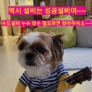 군위식품 | 군위누수탐지 비용 걱정 끝! 실제 시공 사례로 확인하세요