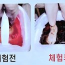 족욕힐링숲라파 이미지