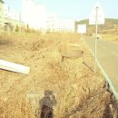 일반성면-2 이미지