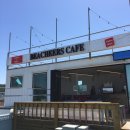 비치얼스(Beacheers)