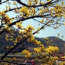 오월인권길 희생코스 이미지