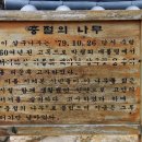 청운각 이미지