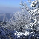 휘닉스파크의 겨울풍경과 눈꽃 구경 이미지
