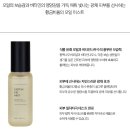 인셀덤부티크