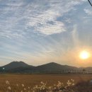 달창저수지 이미지