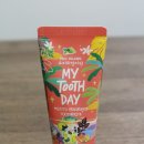 마이투스 | 순하고 상쾌한 치약 추천 마이투스데이 모히또향치약