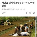 새만금 잼버리 온열질환자 400여명 발생 이미지