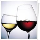 와인..와인문화 이해하기. 이미지