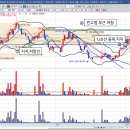 랜덤텍스 티스토리
