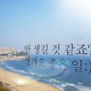 오션관광 주식회사