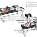 jkj 헬스 이미지