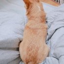 봉곡동344 | 어스 일상 블로그_와콤타블렛구매후기.창원맛집로지쇼쿠도/사계절냉면