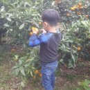 가현농장 이미지