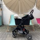 카리노글로벌 | [강아지용품/개모차] 강아지 개모차 유모차 추천 피콜로카네 카리노2