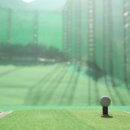 더 그레이스 골프 이미지