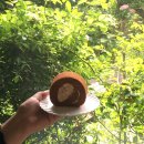 군산신세기사무용가구 | 군산 여행 코스 추천, 클래식 감성 가득한 애견 동반 카페 [첼로네시아]