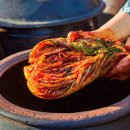 한국대장암예방센터 이미지