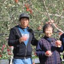 조령농장 이미지