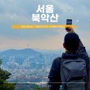 시도 3호선 버즘나무 | 서울 등산초보 추천 북악산 창의문 코스 한양도성 순성길 후기