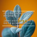 오르난 티스토리