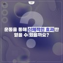 JTA 태권도장 이미지