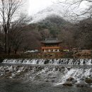 신식당.. 담양 떡갈비를 찾아서 이미지