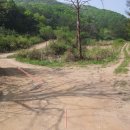 반곡우체국 이미지