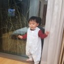 왜목빌리지 이미지