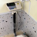 동일애견샵 | 예민한 우리집 강아지도 편하게 다녀온 민락동 애견미용전문샵 의정부 쓰다드멍 후기