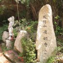 모화리 Daum카페
