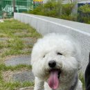 쁘리에숑 이미지