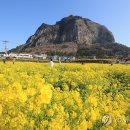 꽃의계절 이미지