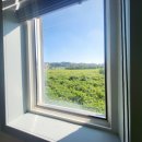 봉비치 펜션 이미지